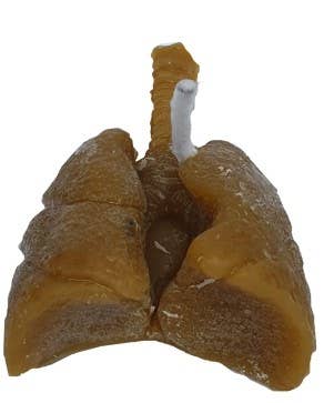 El Alquimista - Wholesale Novelty Candle - MINI LUNG CANDLE, to heal or punish0