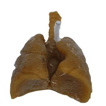 El Alquimista - Wholesale Novelty Candle - MINI LUNG CANDLE, to heal or punish