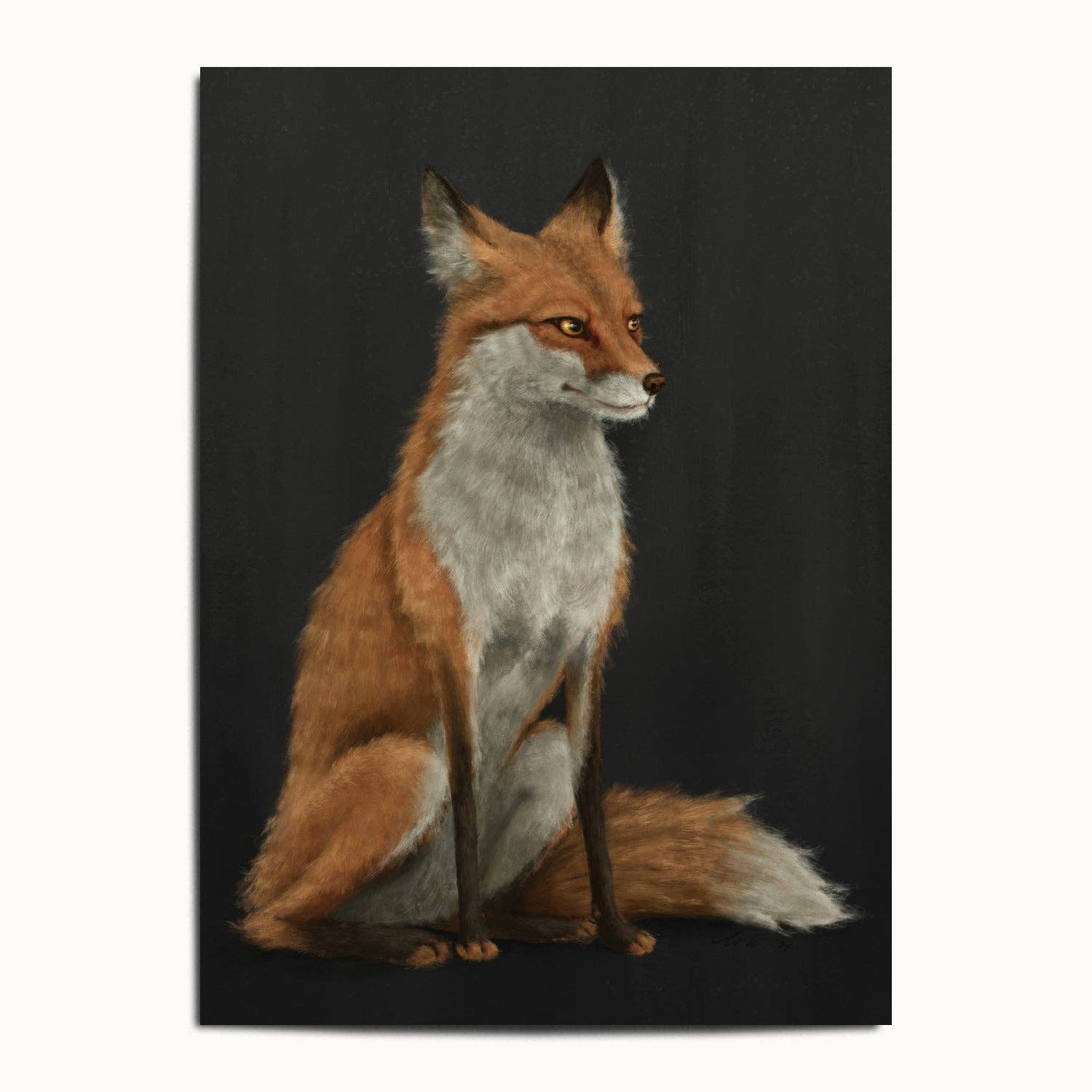 The Ugly Cat Studio - Wholesale Art Print - Red Fox Fine Art Print - Black Edition1