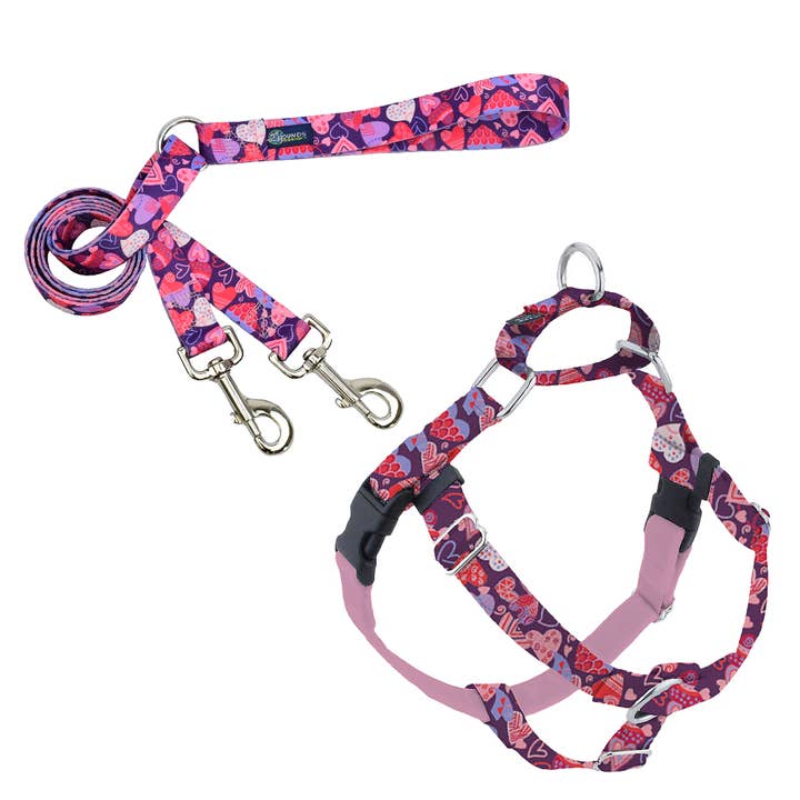 EarthStyle Wild Hearts Freedom No-Pull Harness with Leash for wholesale by 2 Hounds Design