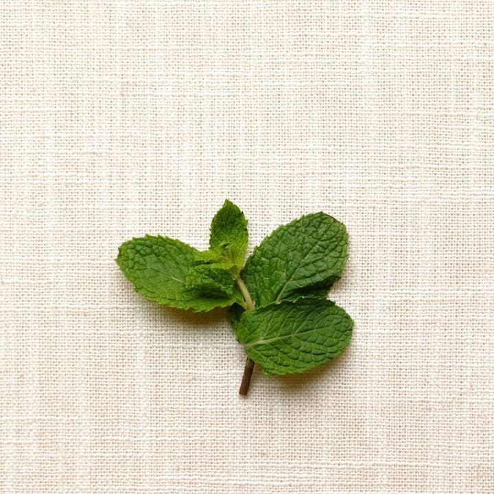 WithCo Cocktails - Wholesale Cocktail Mix/Syrup - Hey Girl Mix (Cucumber, Mint, Lime)6