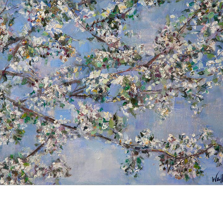 Fleur et ciel bleu - Impression giclée pour la vente par The Laura Wallace Collection