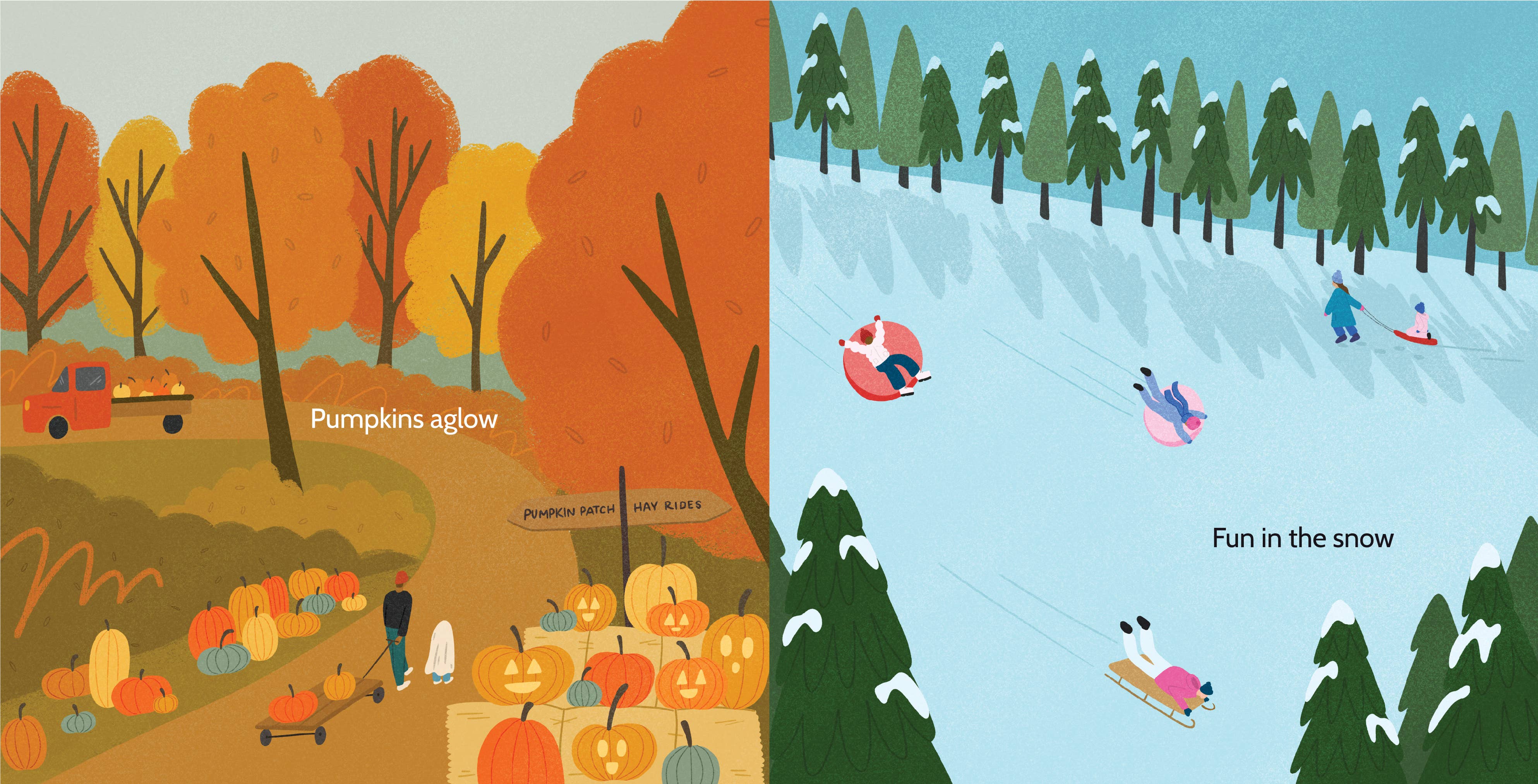 Piccolo Press - Wholesale Baby & Toddler Book (0-2) - Here in Ohio Board Book4