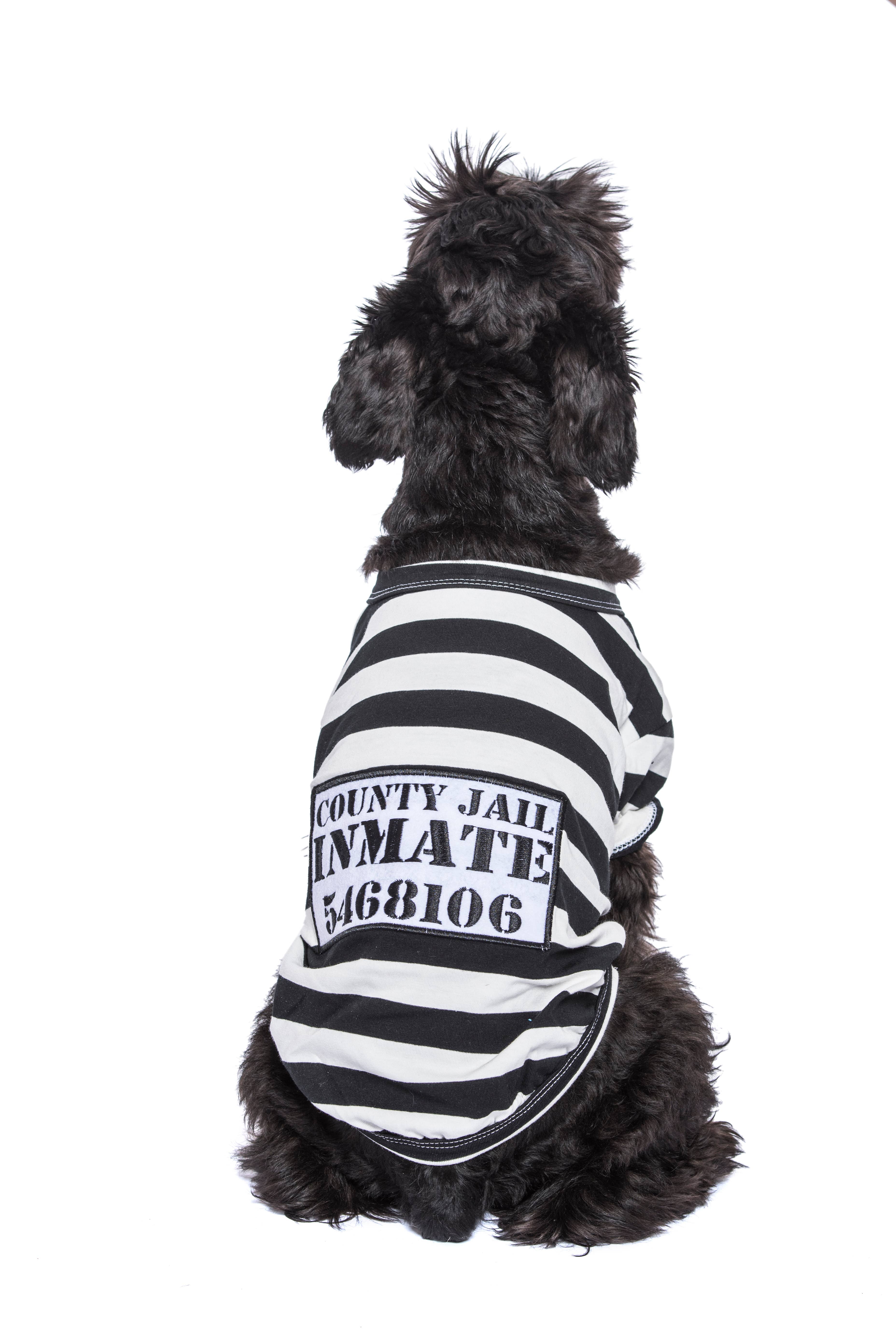 Parisian Pet® - Wholesale Pet Shirt - Dog - Furry Inmate Dog T-Shirt – Adorable & Fun Halloween Look2