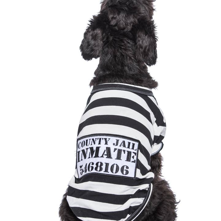 Parisian Pet® - Wholesale Pet Shirt - Dog - Furry Inmate Dog T-Shirt – Adorable & Fun Halloween Look2