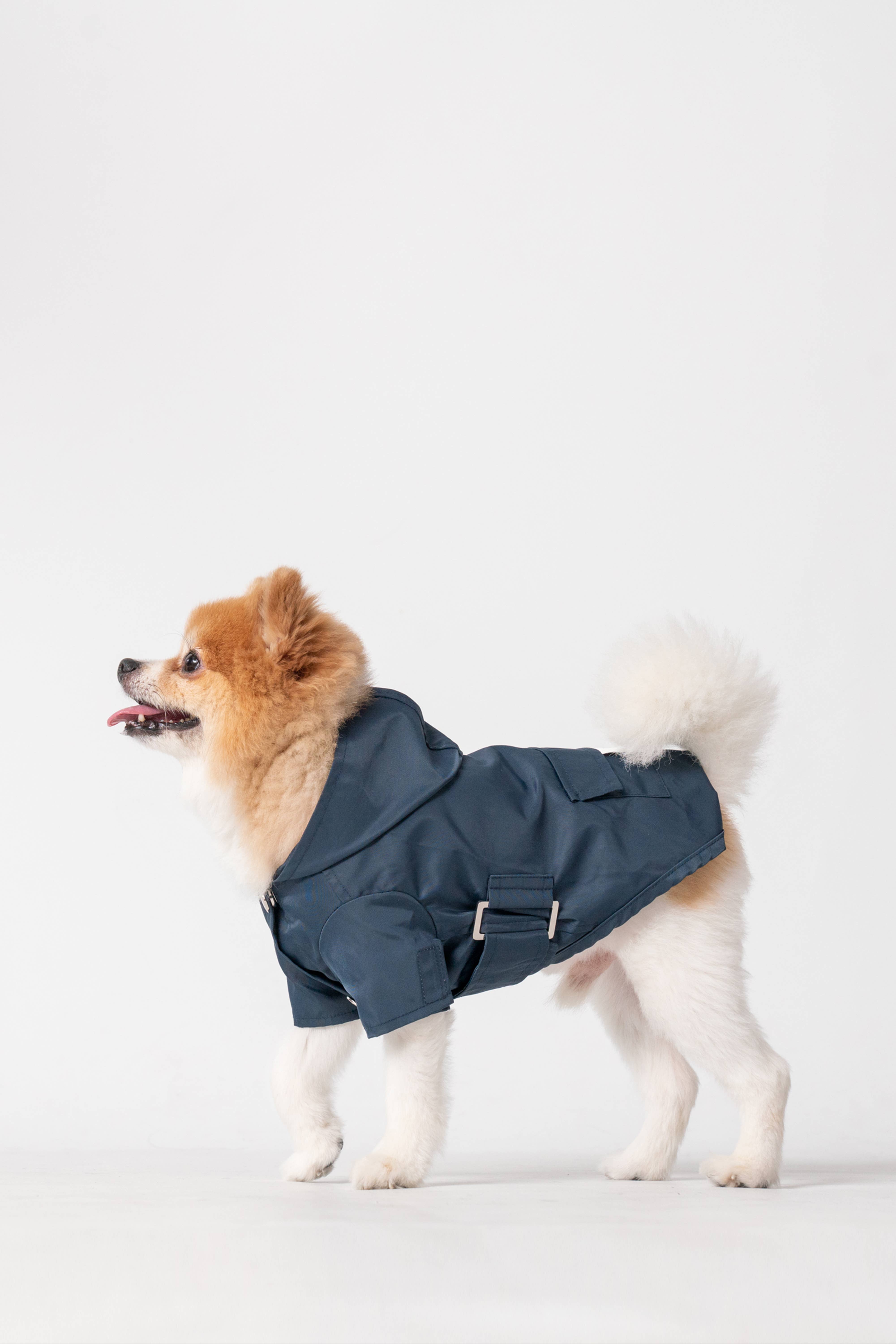 PEHOM – wholesale Pet raincoat – Dog – Raincoat - Blue1
