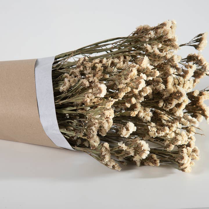 CONE | statice white deck for wholesale by Flor Maison