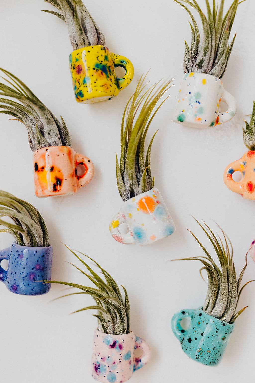 The Glazing Sun - Vente Plante - Mini tasse magnétique en forme de plante aérienne8