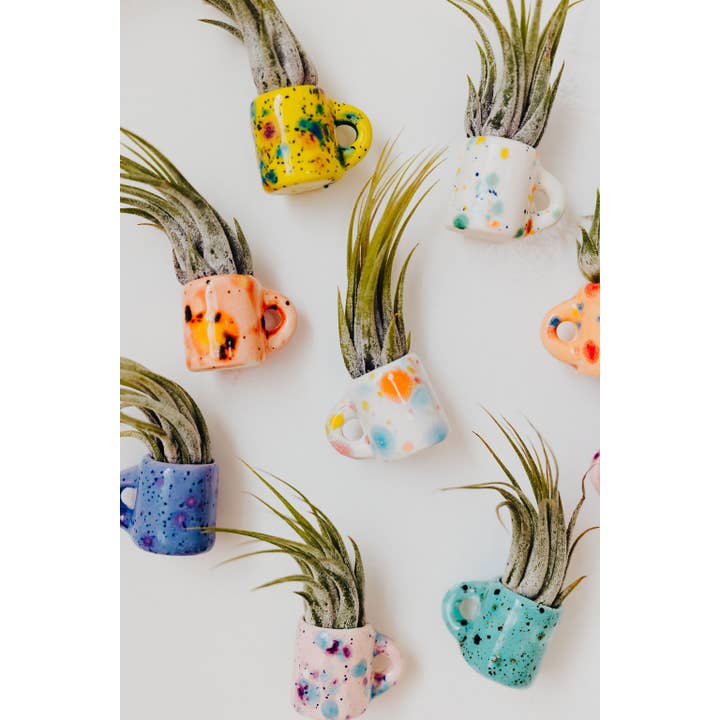 The Glazing Sun - Vente Plante - Mini tasse magnétique en forme de plante aérienne8