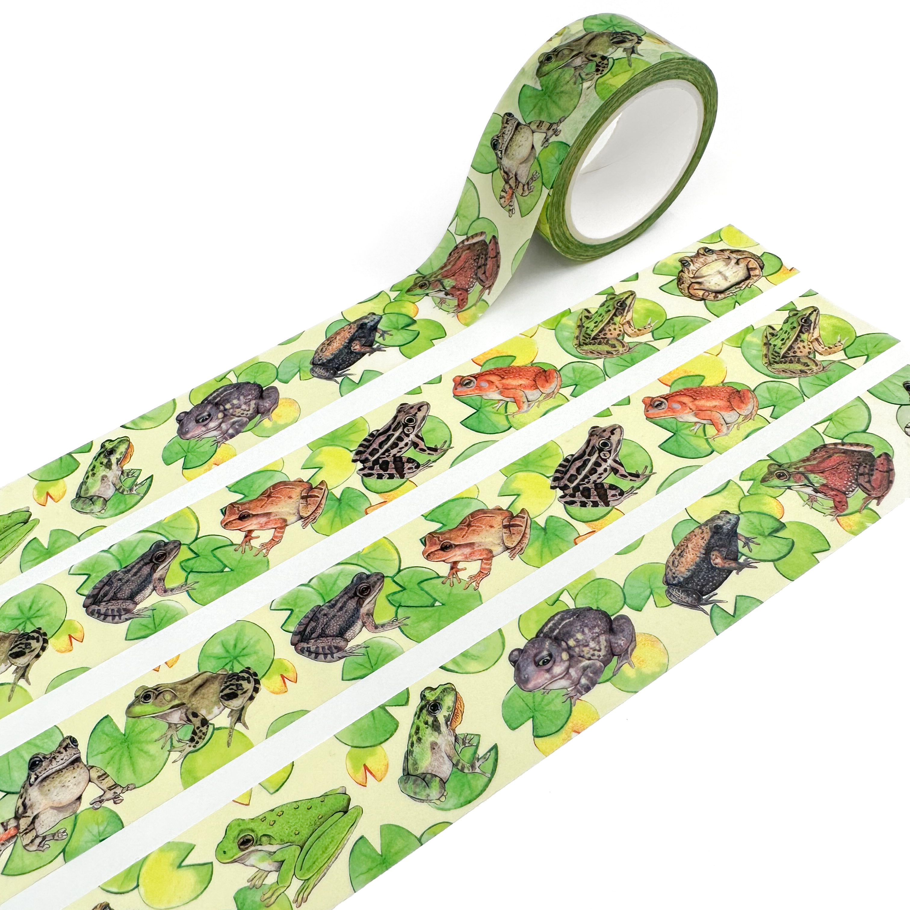Allison Stoiser Art - Wholesale Washi Tape - Frogs and Toads Washi Tape1