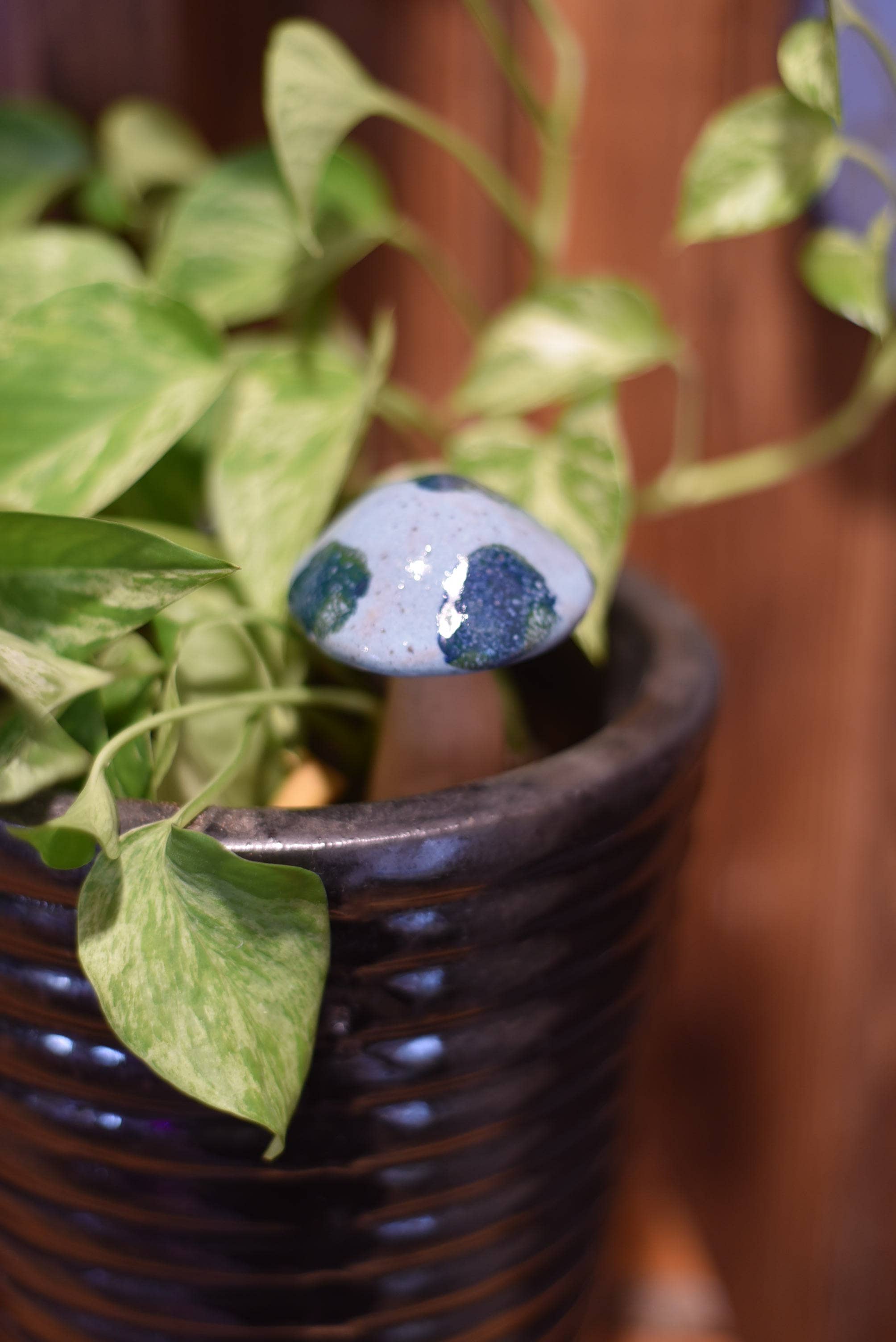 Mud & Maker – wholesale Dekorativt bordsobjekt – Whimsy Svampar - 5-7"1