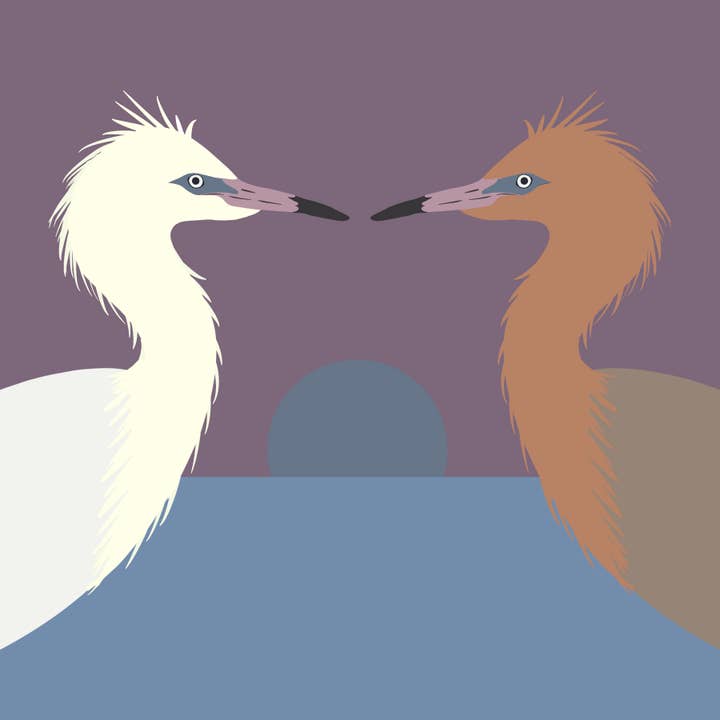 GREETING CARD | Reddish Egret (Egretta rufescens) - Threaten for wholesale by Juliet Whitsett Art