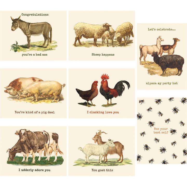 Primitives by Kathy - Wholesale Everyday Greeting Card - Animal Puns Note Card Set