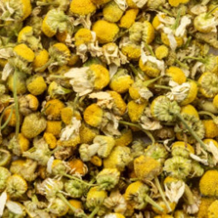 WoodWell® Sleep Well Chamomile Mushroom Tea for wholesale by WoodWell®