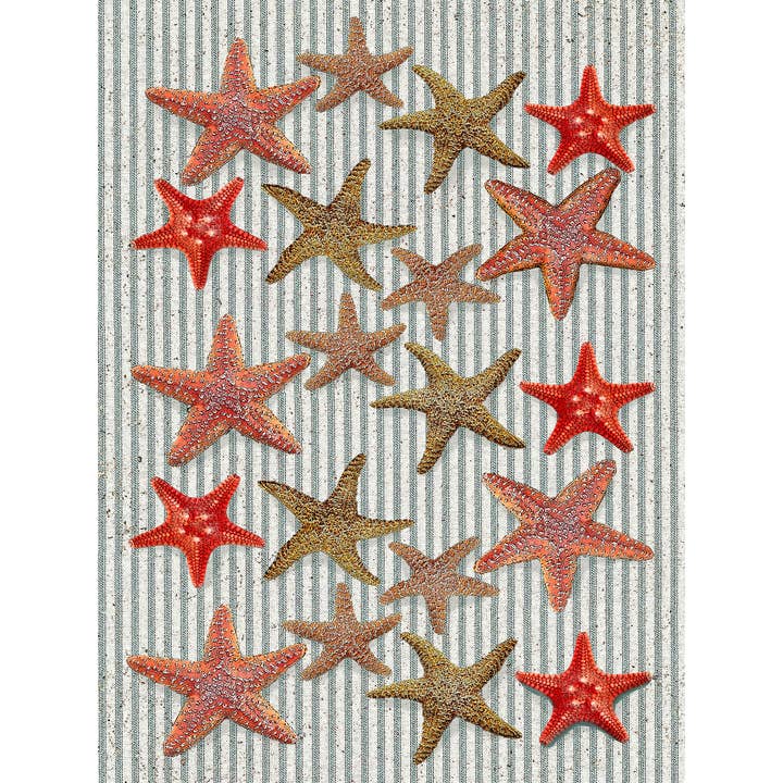 Alphie and Ollie – Toalha de chá por atacado – Starfish 100% saco de farinha de algodão toalha de cozinha 18 x 24"