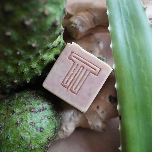 TERRA-TORY Skincare - Wholesale Bar Soap - Fresh Soursop Soap Cube - Ideal for Body Acne1