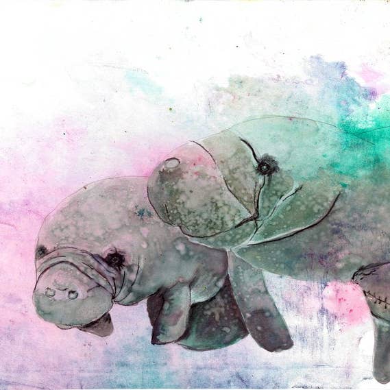 Manatee Friends for wholesale by Shoog McDaniel