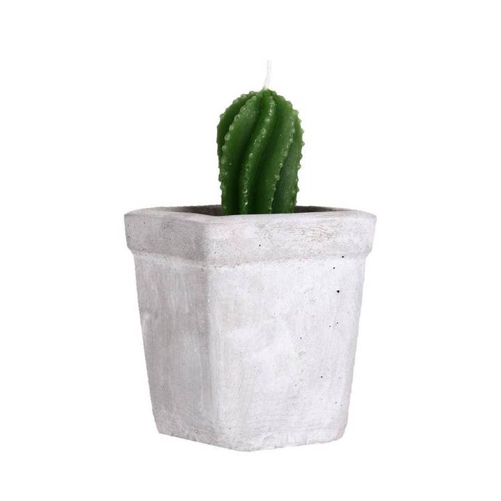 Helio Ferretti Candles & Co. - Wholesale Novelty Candle - CACTUS CEMENT CANDLES HF3