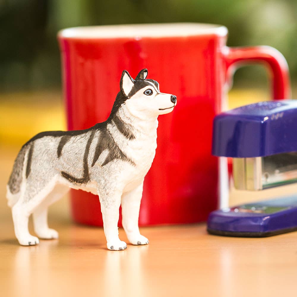 Safari Ltd. - Wholesale Decorative Figurine - Siberian Husky - 2552295