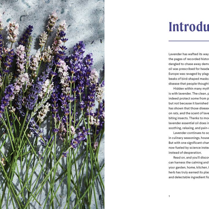 Blue Star Press - Wholesale Body, Mind & Spirit - Lavender: 50 Self-Care Recipes and Projects for Wellness1