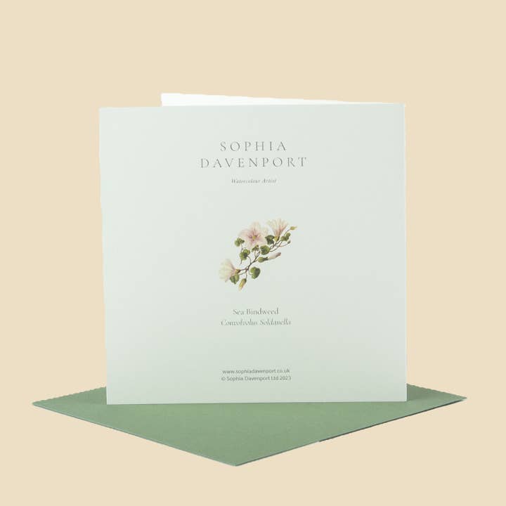 Sophia Davenport - Wholesale Everyday Greeting Card - Wildflower Greeting Cards and Notelets43