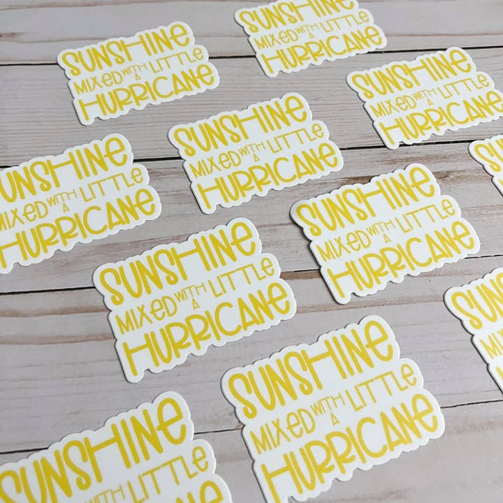swaygirls - Vente Autocollant - Autocollant Sunshine & Hurricane | Autocollant amusant | Autocollant impertinent7