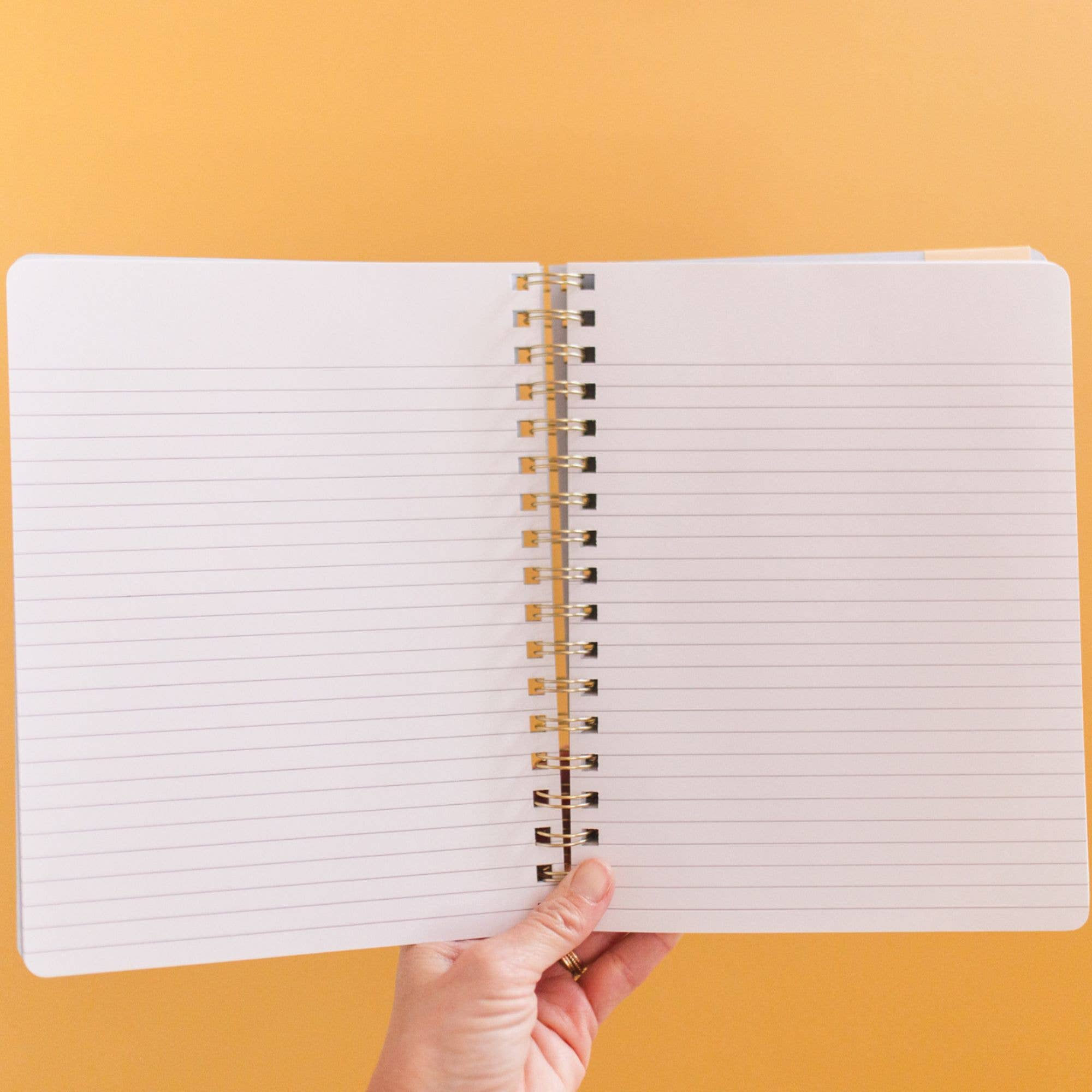 Pippi Post – Caderno por atacado – Caderno espiral com ilustrações de plantas em vasos4