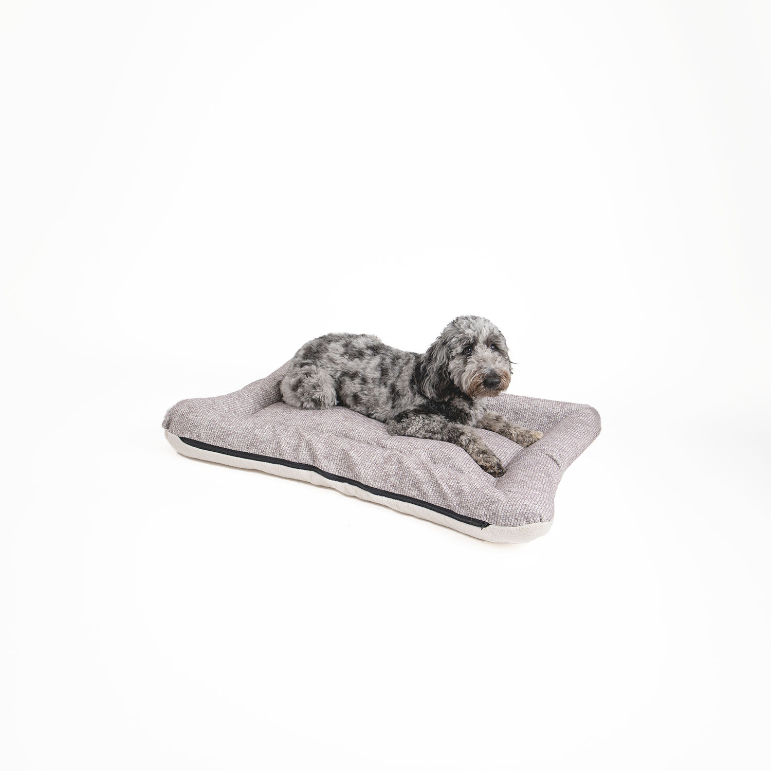 Snoozer Pet Products - Vendita all'ingrosso Letto - Cani - Cuccia per Cani All Day di Snoozer14