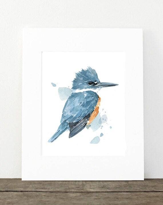 Studio Tuesday - Wholesale Art Print - Kingfisher Watercolor Print, Bird Painting