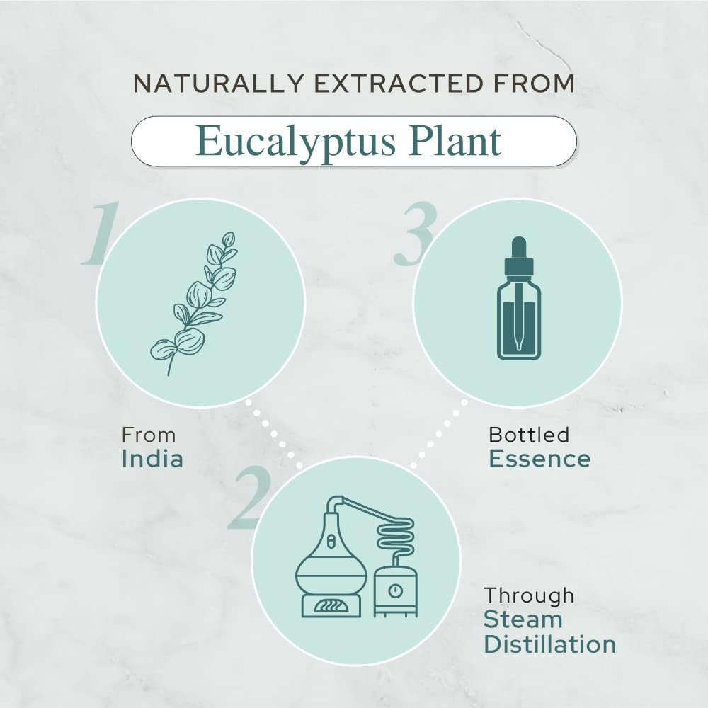 Plant of Life - Wholesale Essential Oil - Eucalyptus Essential Oil | Therapeutic Grade | Multi Sizes4