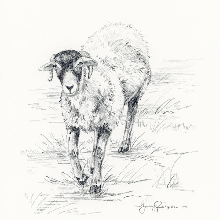 ”Little Tup” Skriv ut för wholesale av Lucy Reiser Fine Art