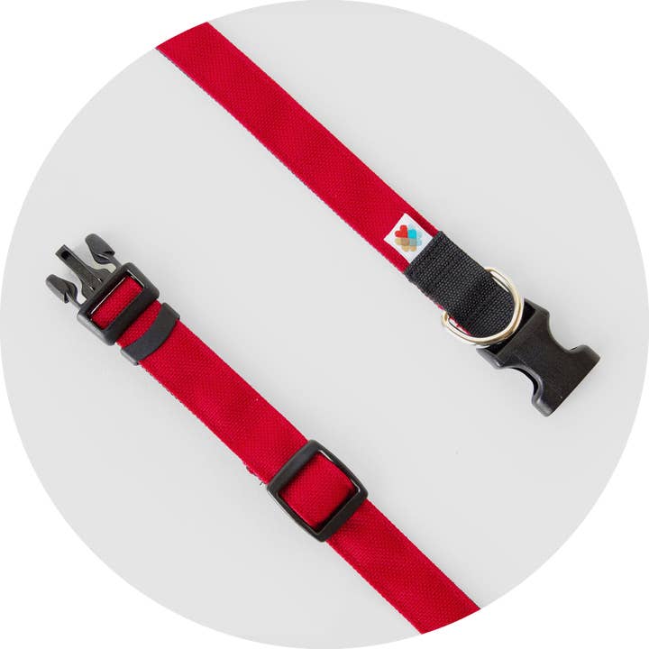 Wildebeest - Wholesale Pet Collar - Dog - Funston Classic Dog Collar7