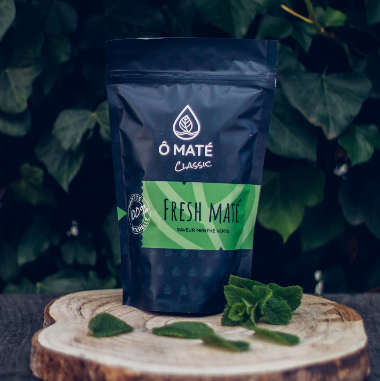 Ô Maté - Wholesale Health/Detox Tea - Fresh Maté, green mint maté2