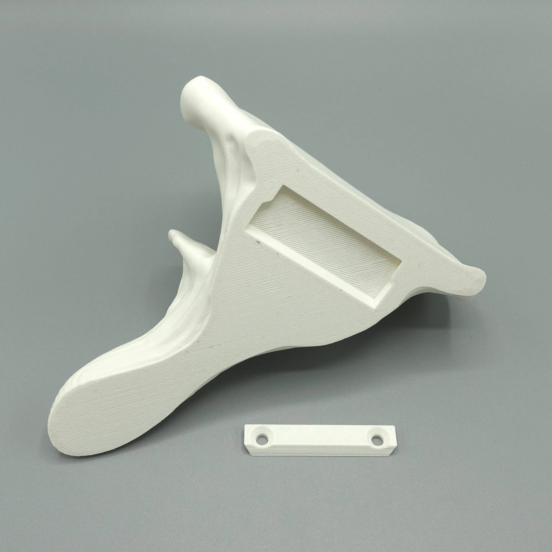 Brehmwood Creative - Wholesale Wall Mounted Shelf - Oyster Fungi Floating Shelf - Unique Mushroom Decor with 20 Color Options for Any Room3