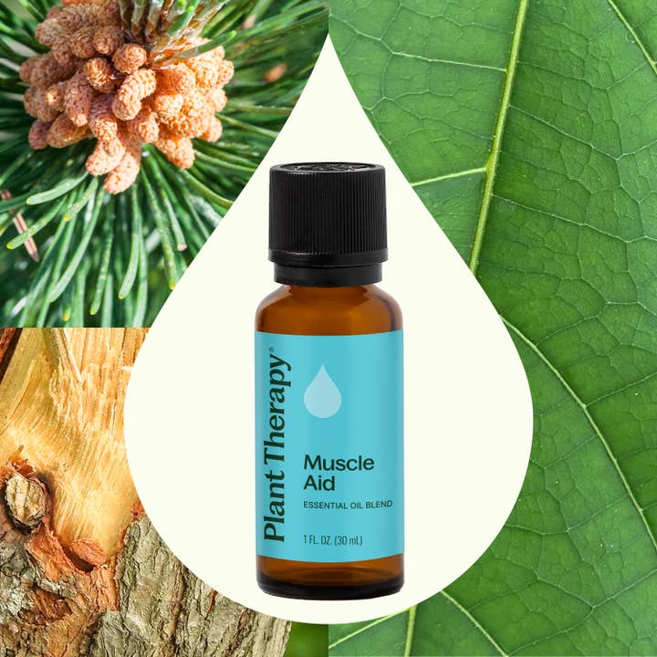 Plant Therapy - Wholesale Essential Oil - Muscle Aid Essential Oil Blend 30 mL1