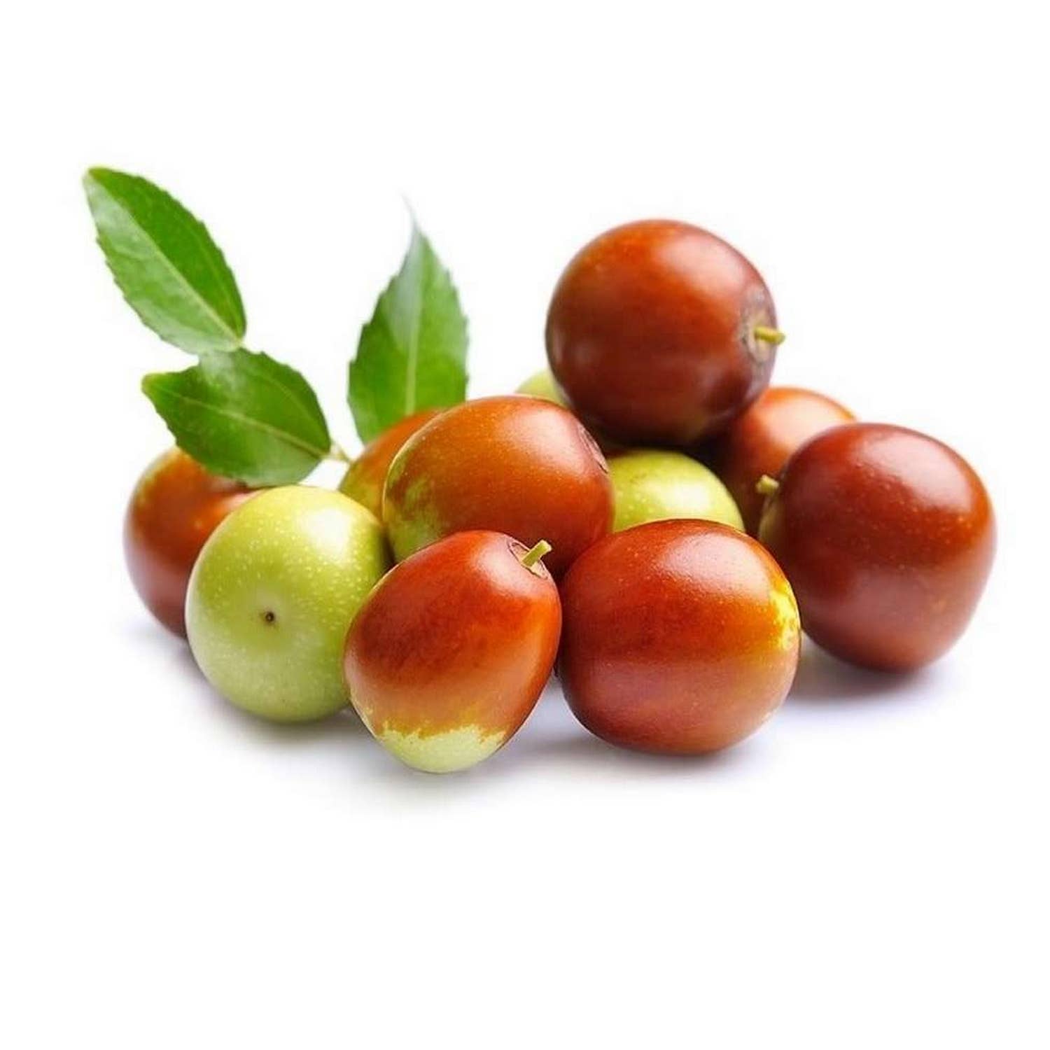 THÉMAÉ – Großhandel Bade-/Körperöl – 30 ml Huile des 4 Thés® – Satinöl für Gesicht, Körper & Haare2