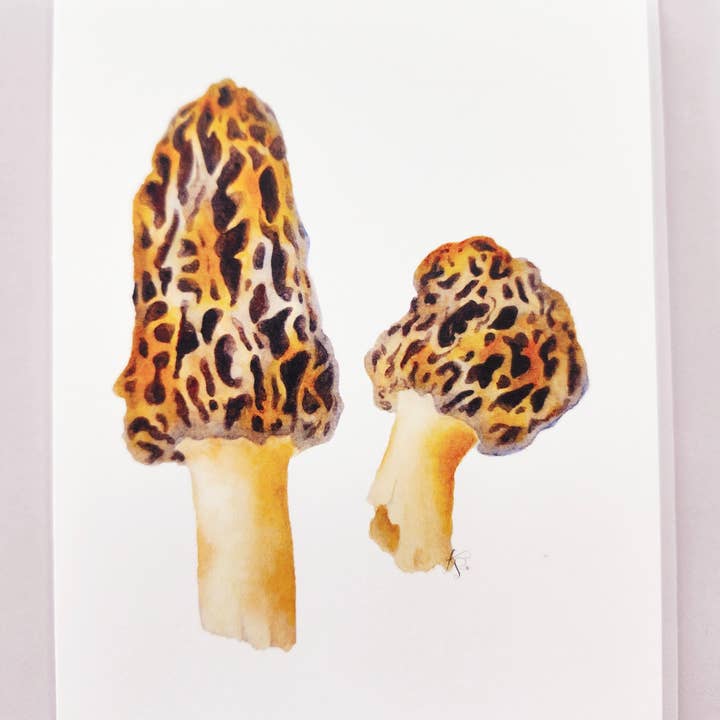 Redbriar Studio - Wholesale Stationery/Notecard Set - Notecards22