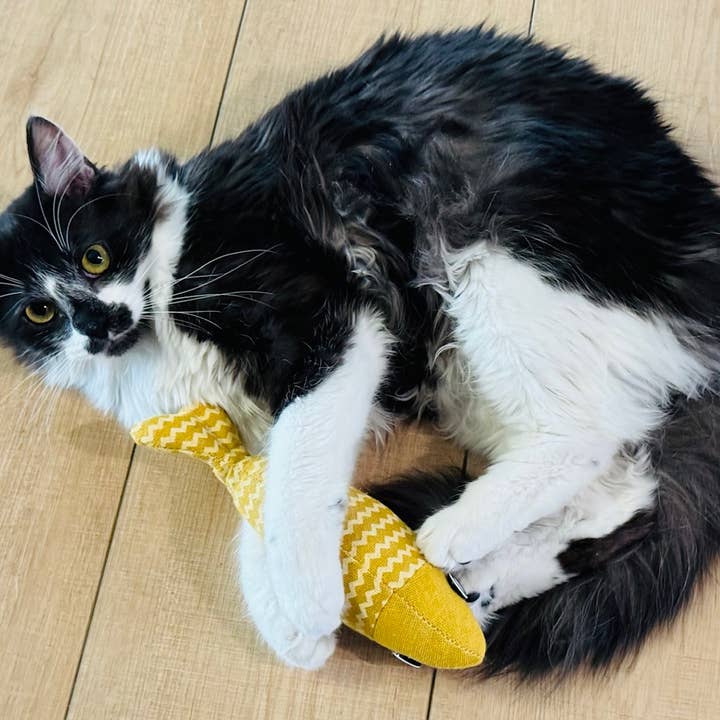 Koira - Wholesale Pet Toy - Cat - Gone Fishin' Fish Catnip Kicker Cat Toy3