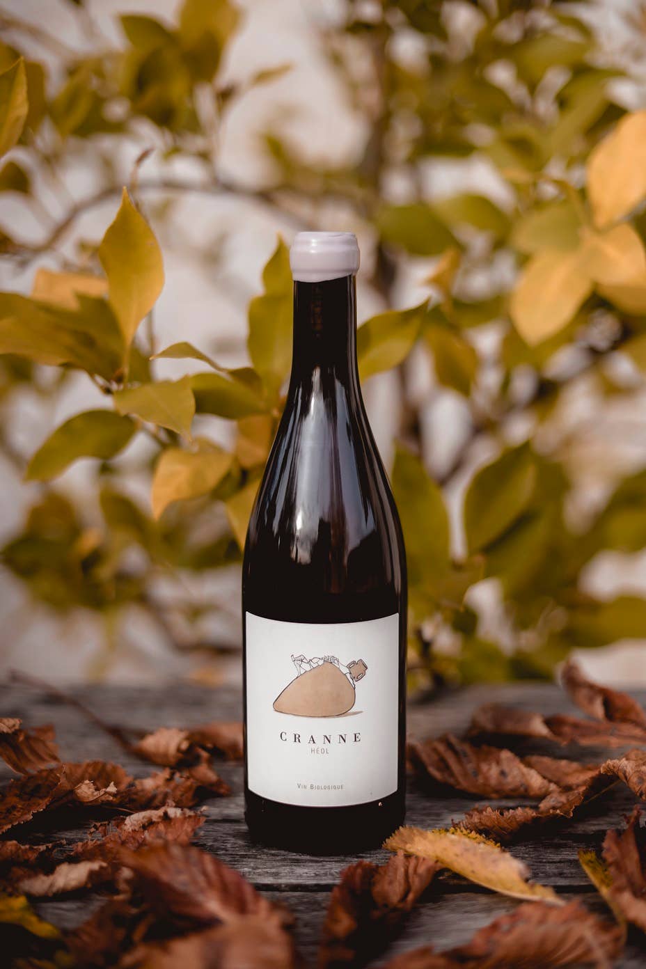 Château de Cranne - Wholesale White Wine - Great Dry White Wine 100% Organic Sauvignon Gris "CRANNE Héol" 232