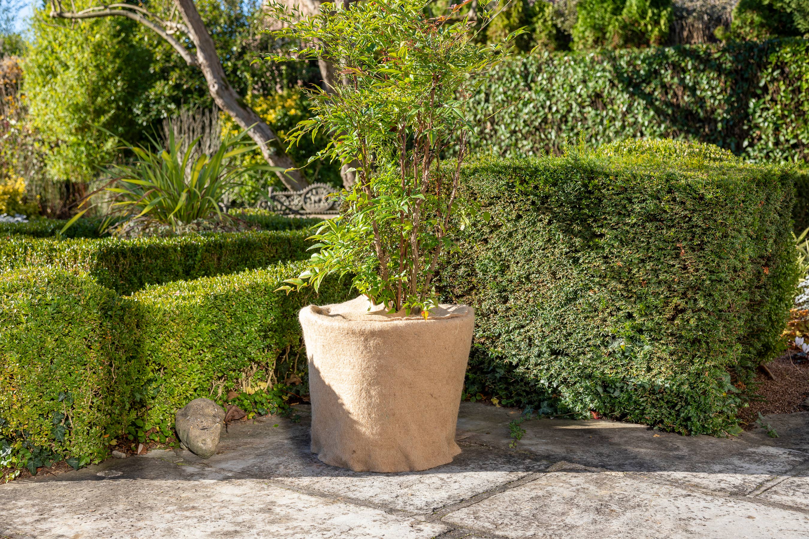 La Cordeline - Wholesale Garden tool - Sheep Wool Felt Rug 40cm x 2m2