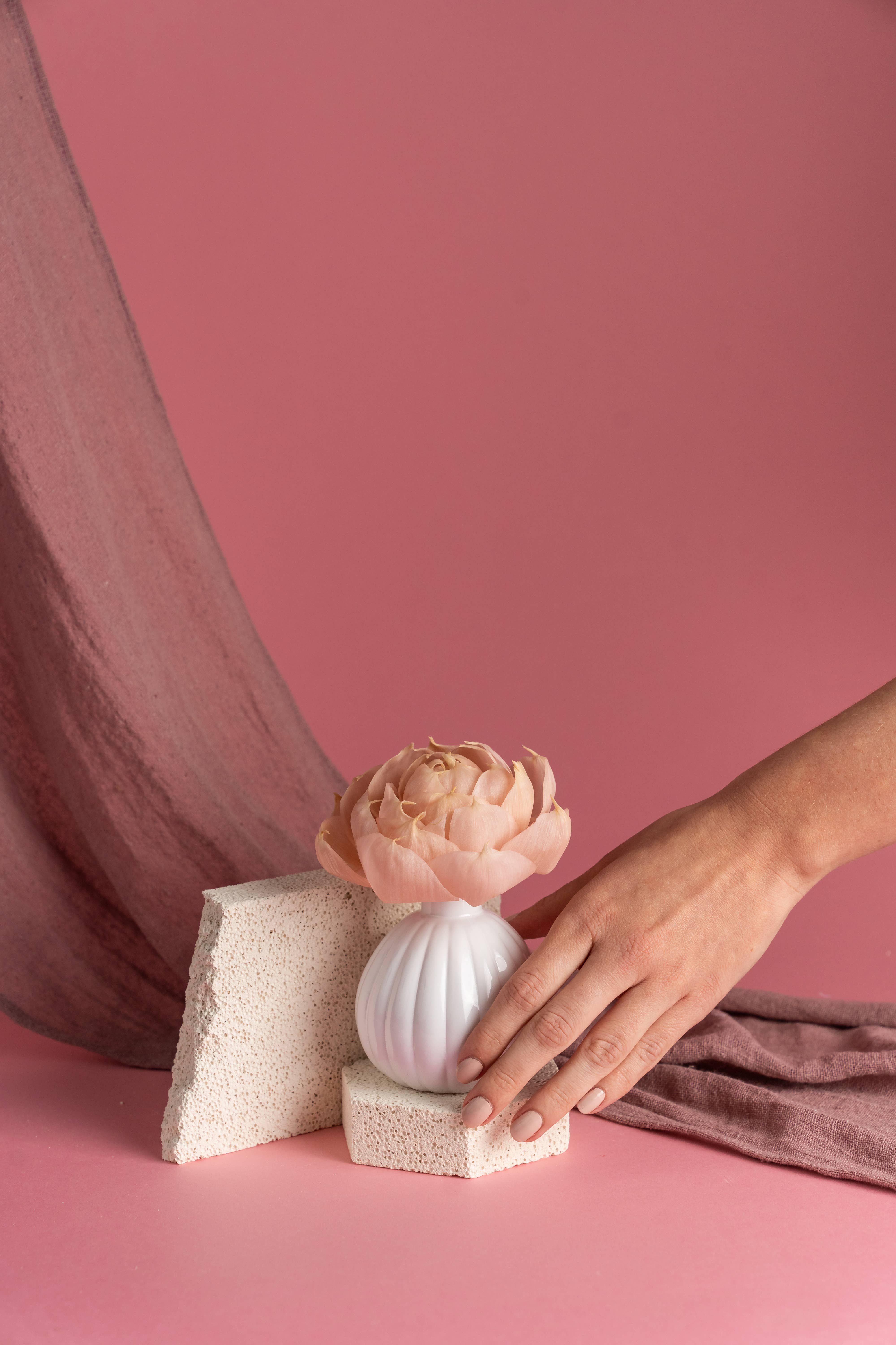 Bridgewater Candle Company - Wholesale Reed Diffuser - Sweet Grace Flower Diffuser9