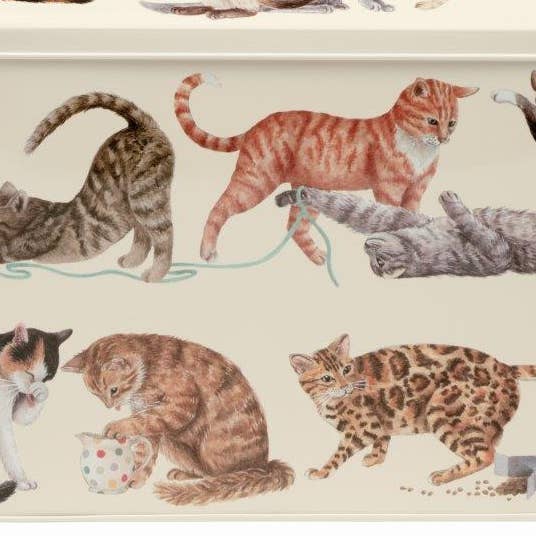 Tin Treats – wholesale Kitchen storage/organiser – Emma Bridgewater - Cats Extra Large Caddy Tin with Biscuits2
