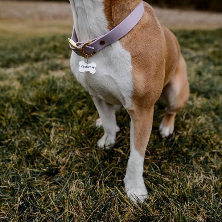 Salt and Sparkle – wholesale Halsbandsbricka - Katt och hund – GOSSIG AF benformade husdjur Tag5