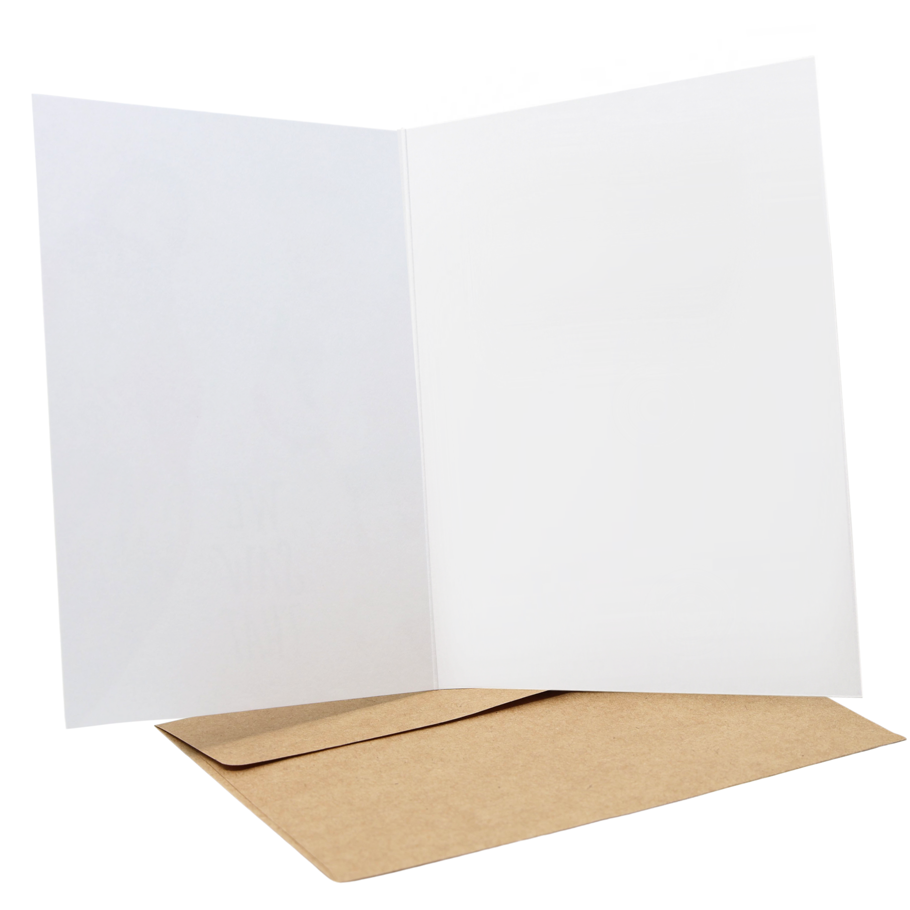 Sleazy Greetings – wholesale Julkort – Din fega jävel1