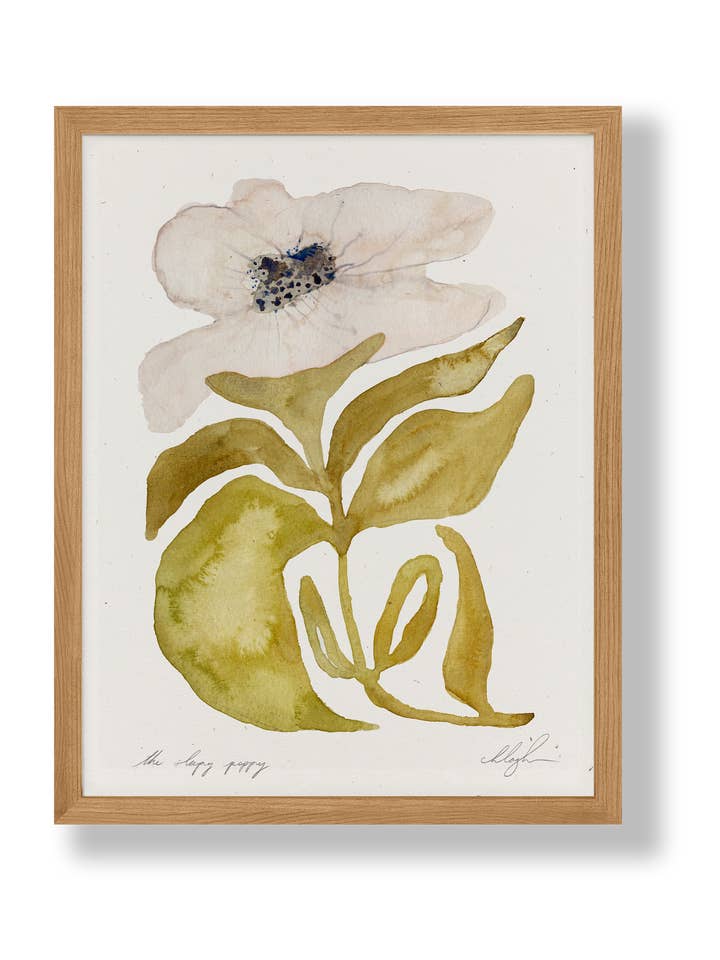 Poppy for wholesale by Cocoshalom