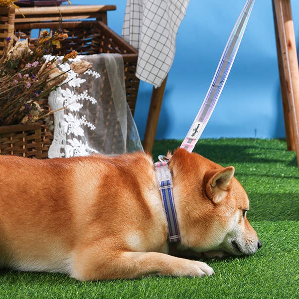 Hugsmart Products Inc - Wholesale Pet Collar - Dog - HugSmart Pet - Dog Collar | Cotton Candy3