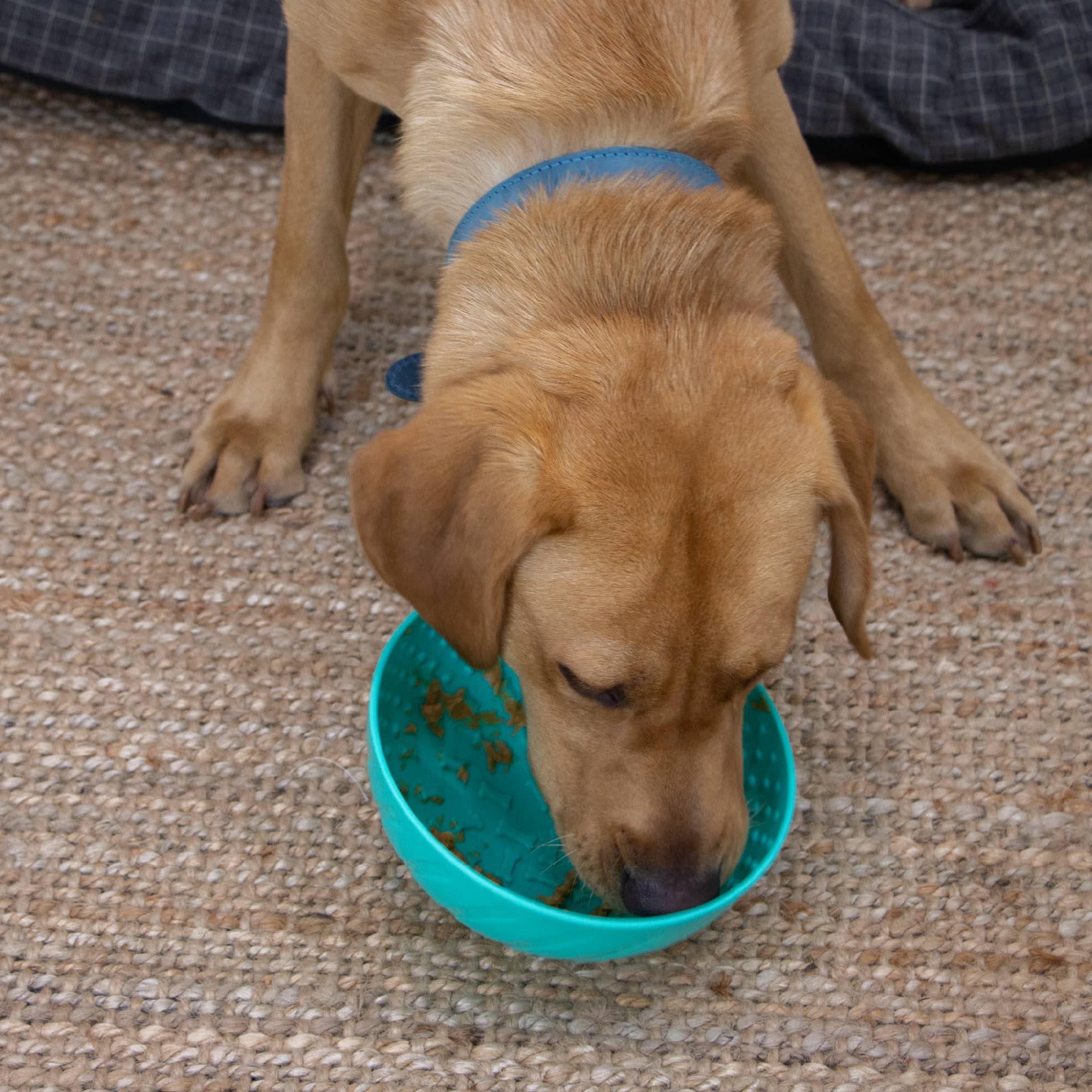 Ancol Pet Products Ltd – wholesale Husdjursskål - Katt och hund – ÖRVA Wobble-skål för hundar1