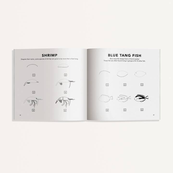 Paige Tate & Co. - Wholesale Baby and toddler book (0–2) - Under the Sea: How to Draw Book for Kids (Stocking stuffers)2