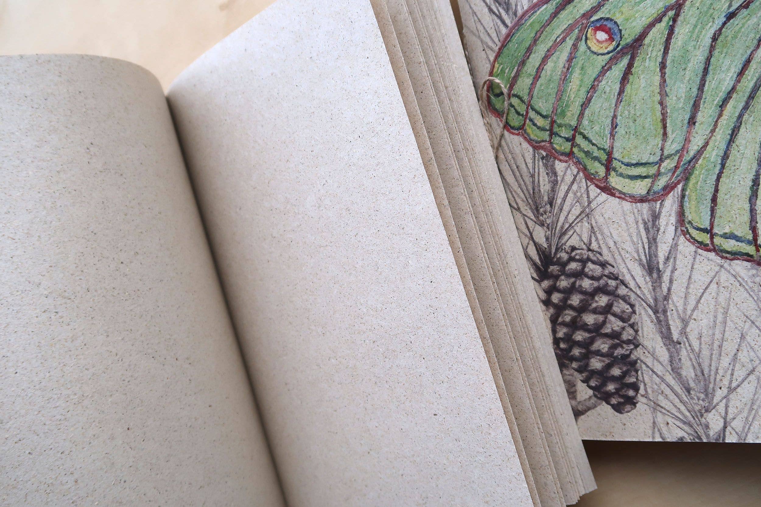 Sirem Wild - Wholesale Notebook - Grass paper notebooks of animals and nature3