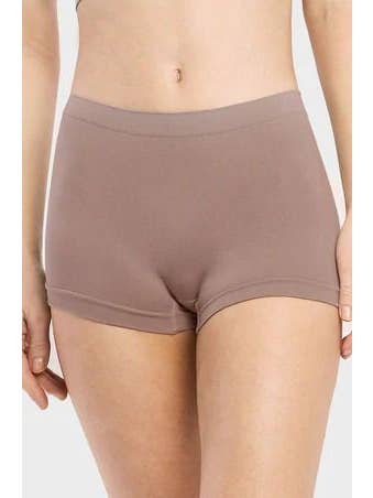 Lingerie Mart - Wholesale Underwear - Women's - Sofra Ladies Seamless Plus Size Boyshort Panty LP02030BX2W4